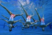 中国马拉松2026年鼓励赛事设立“志愿者专项奖学金”